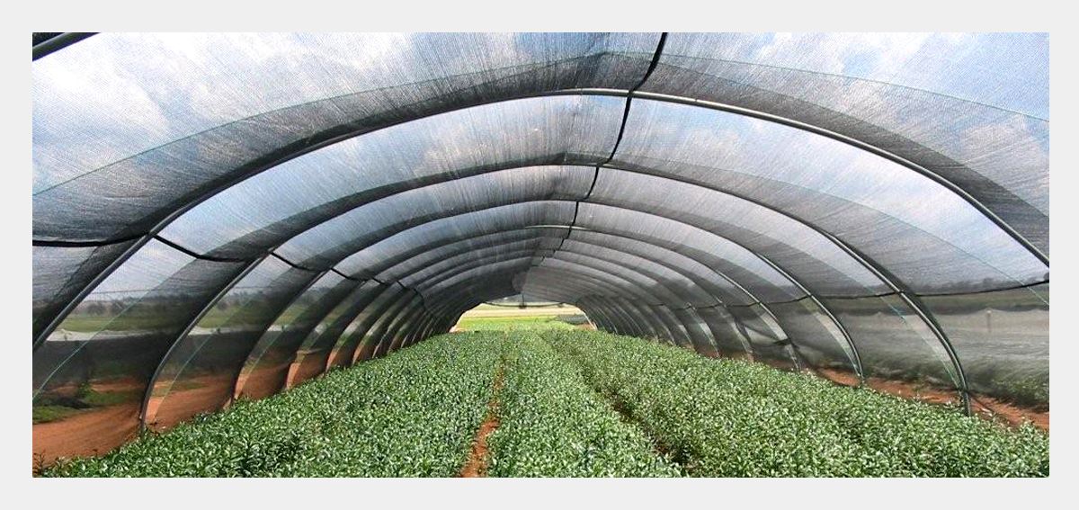 shade wire net