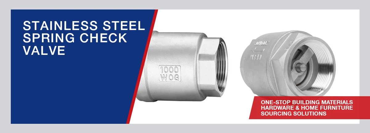 Stainless-Steel-Spring-Check-Valve