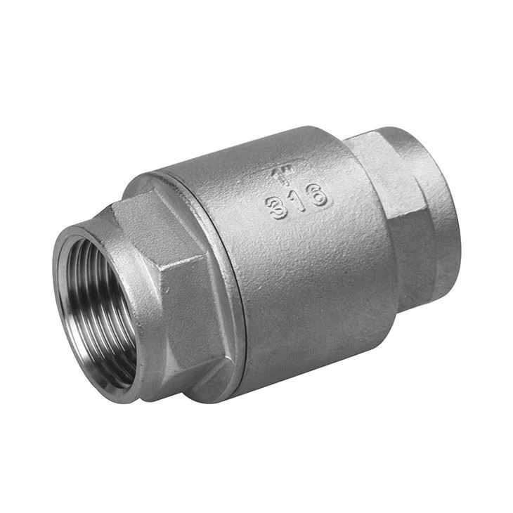 Stainless Steel Spring Check Valve